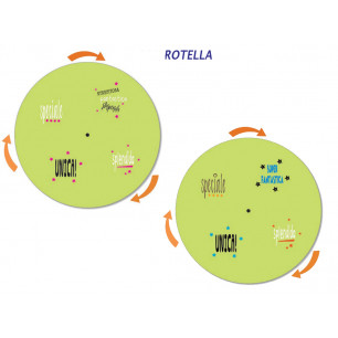 Biglietti 18esimo Compleanno i Discoli con messaggio in rotella