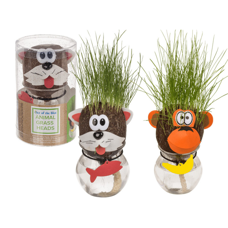 Testa di animale con erba che cresce con vasetto display 16 pz 5 ass.ti