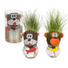 Testa di animale con erba che cresce con vasetto display 16 pz 5 ass.ti