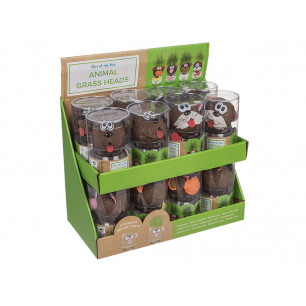 Testa di animale con erba che cresce con vasetto display 16 pz 5 ass.ti