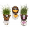 Testa di animale con erba che cresce con vasetto display 16 pz 5 ass.ti