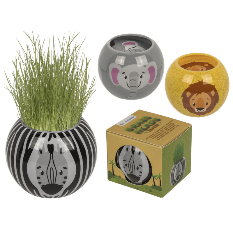 Vasetto animali della savana con erba che cresce display 12 pz 3 ass.ti