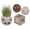 Vasetto animali kawaii con erba che cresce display 12 pz 3 ass.ti