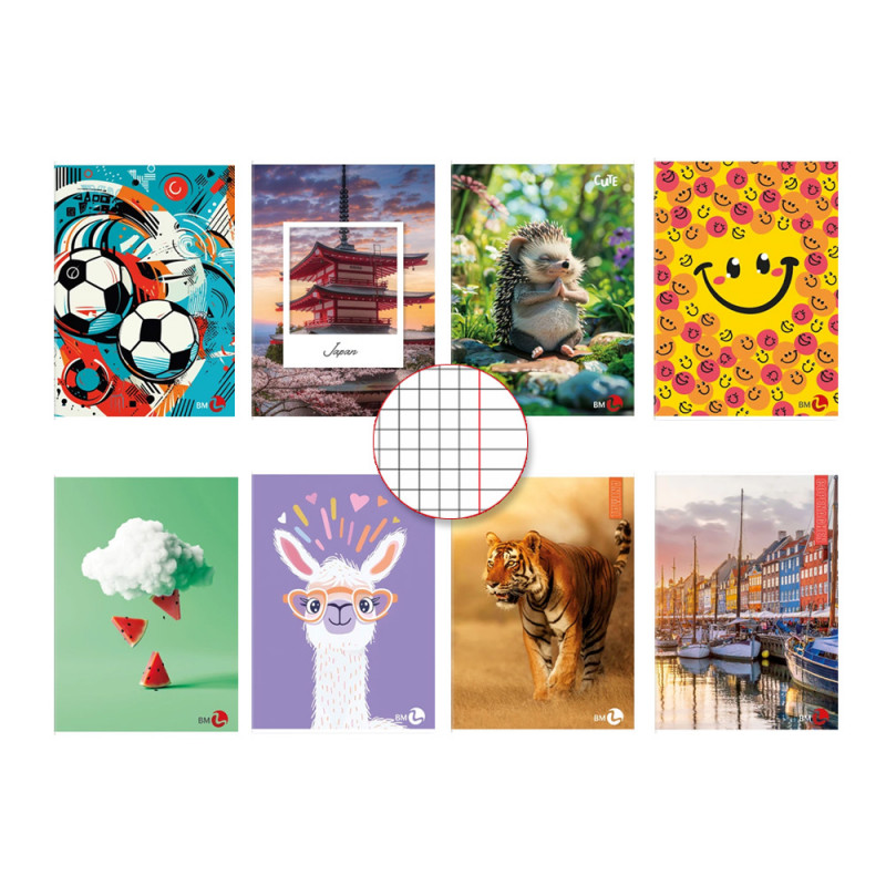 Quaderni BM A5 fantasia rigo Q 80gr